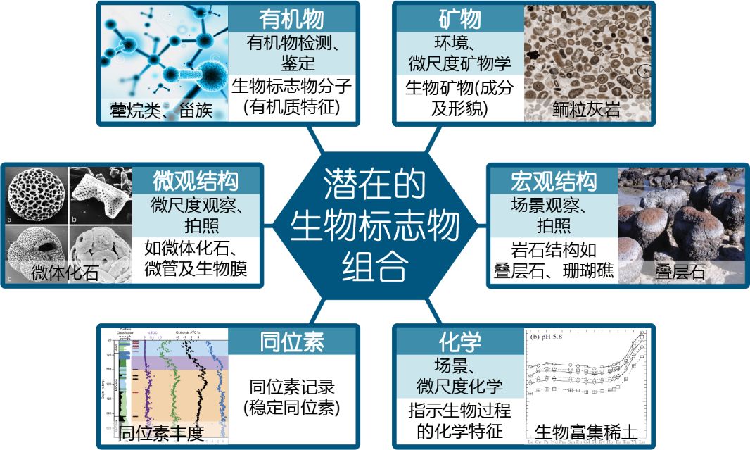 新知|寻找潜在生命物质的载体——鲕粒