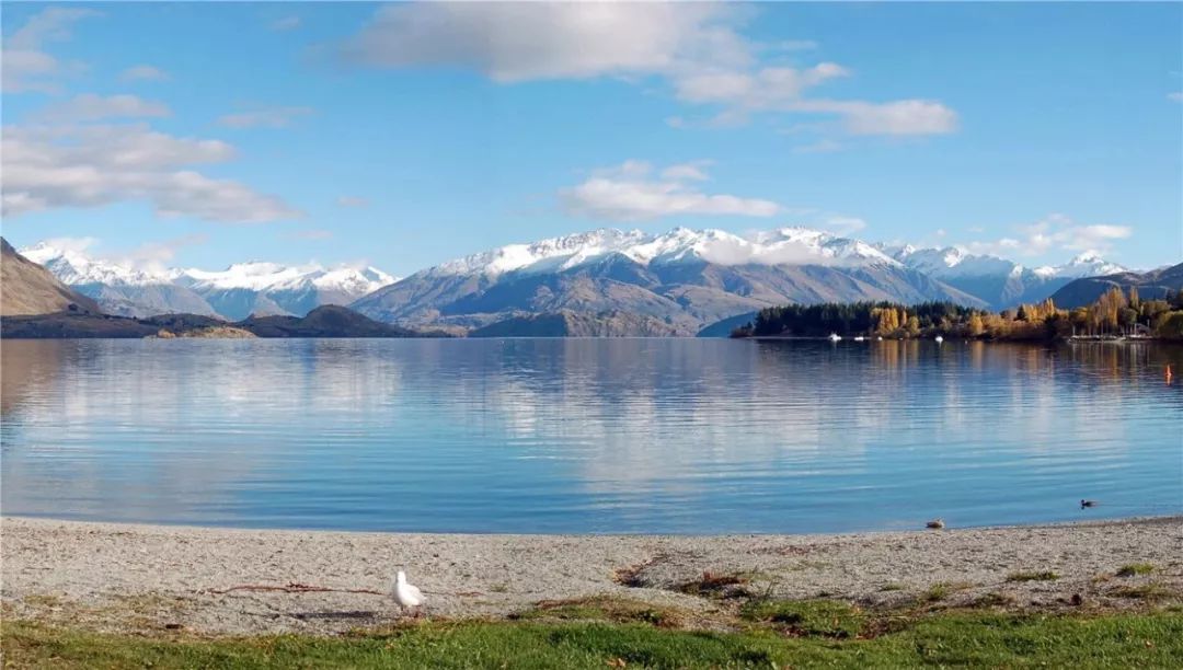 美剧指环王即将开拍,美剧版指环王首播