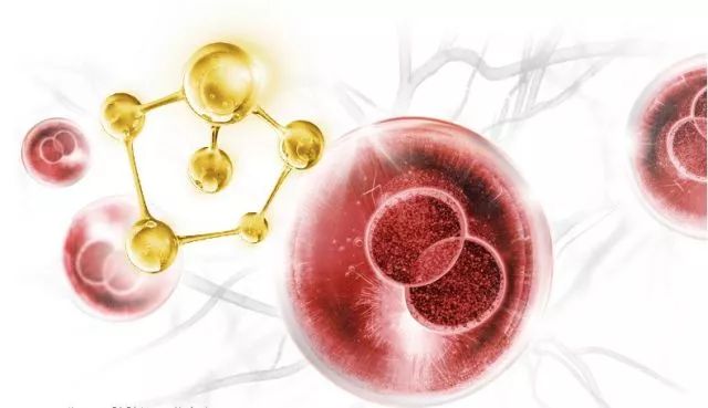 N次回购清单|当代成年人的安全感又名,「不囤不行」