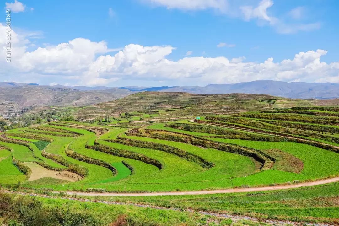 vlog单反入门级相机推荐,初学vlog适合用什么样的相机