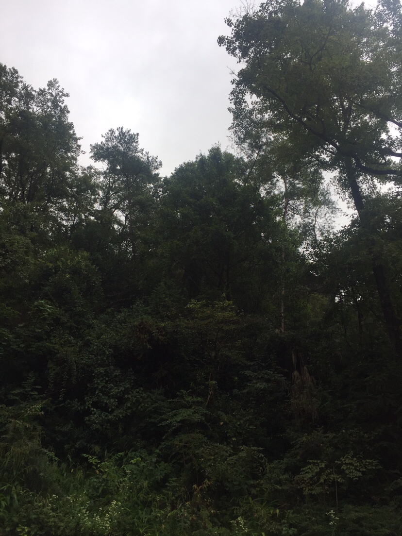 好久未发说说,好久没发过朋友圈的句子