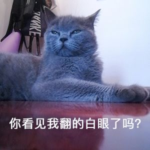 闺蜜骗40万元,闺蜜被骗17万