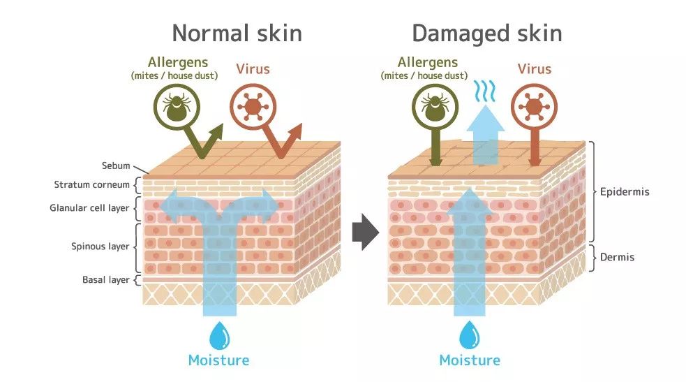 鐨偆骞茬嚗鍠濇按琛ユ按鏁烽潰鑶滅鐢ㄥ悧,鍠濇按鍜屾暦闈㈣啘