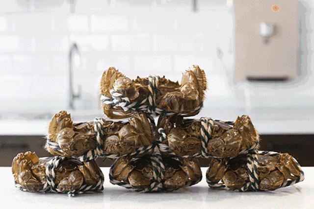 阳澄湖大闸蟹流黄,阳澄湖大闸蟹几月份吃最好吃