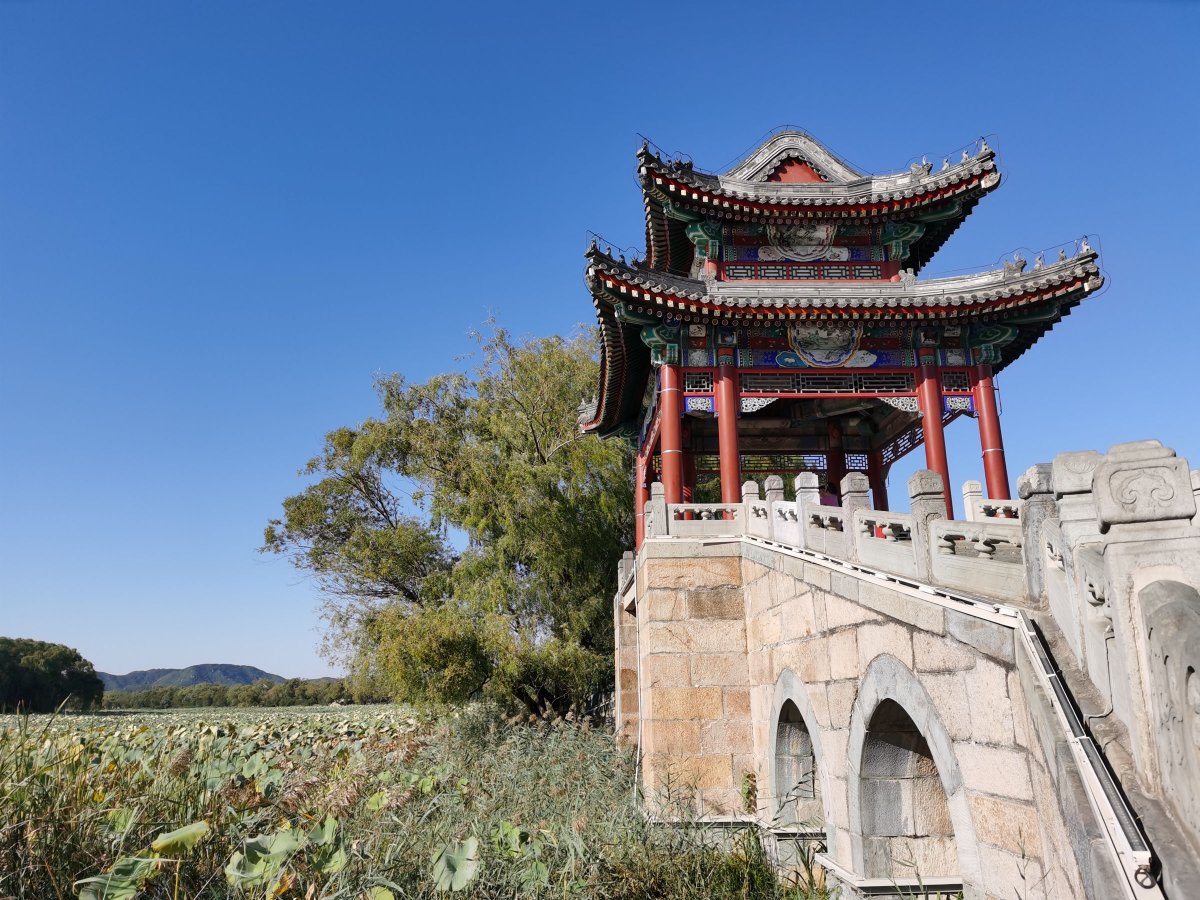 华为mate30pro前摄像头近拍,华为mate30pro前摄像头拍照效果