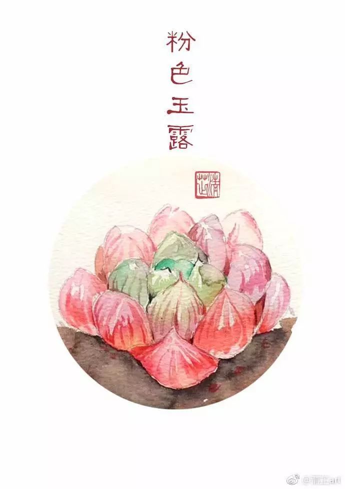 什么多肉不需要太强的光照,光照不足也能养的多肉