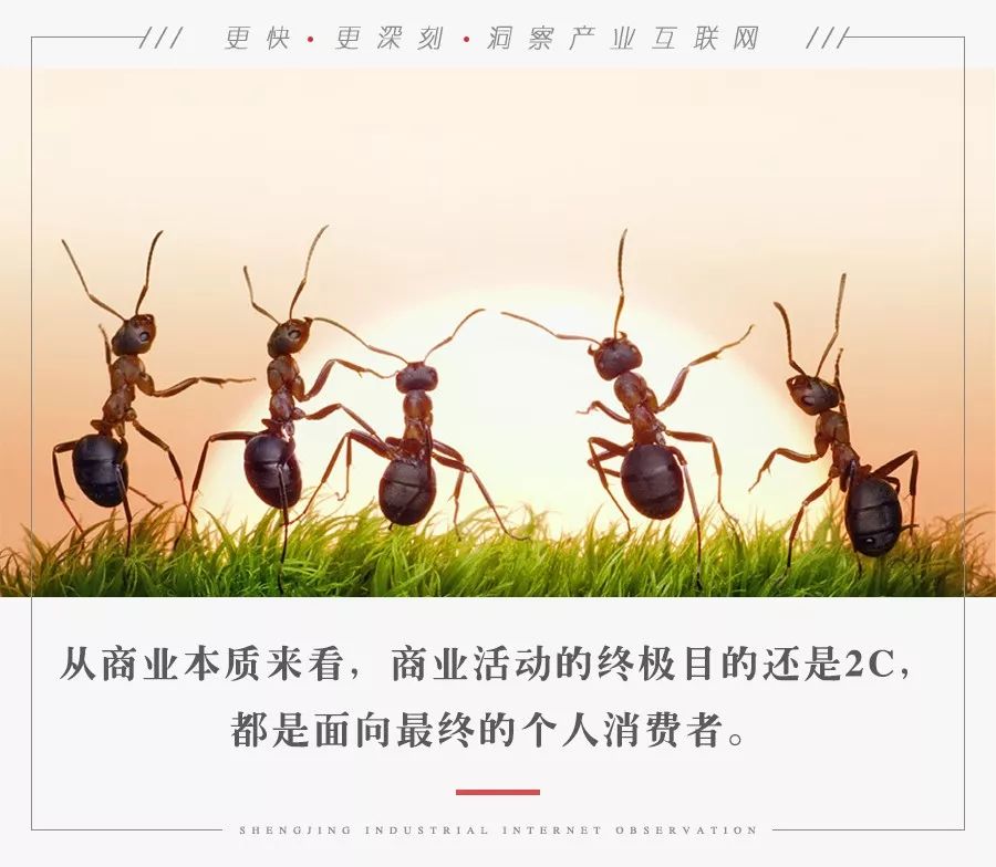 2B的“蚂蚁军团”，2C的“马太效应”