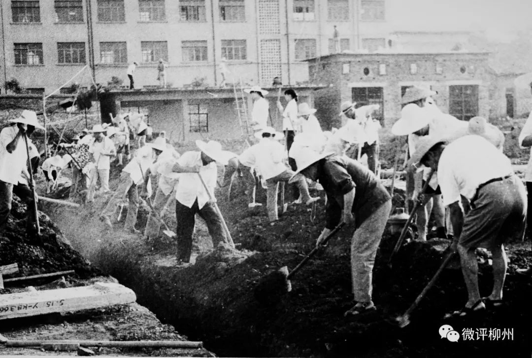 「柳州，父辈的旗帜」从东北到广西“开荒”一家十几个“冶建人”