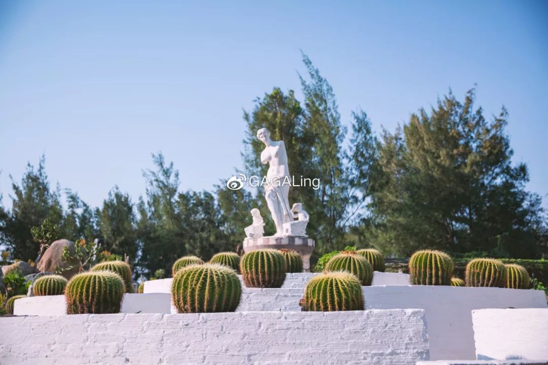 大V推荐|国内少有的黄金沙滩海岸，漳州六鳌游玩必备攻略，拍照小贴士！