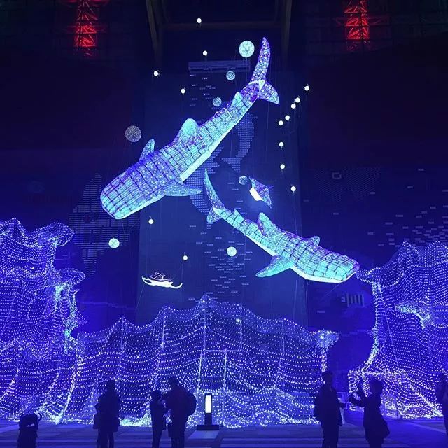 日本京都二条城灯光秀 (日本圣诞节灯光秀攻略)