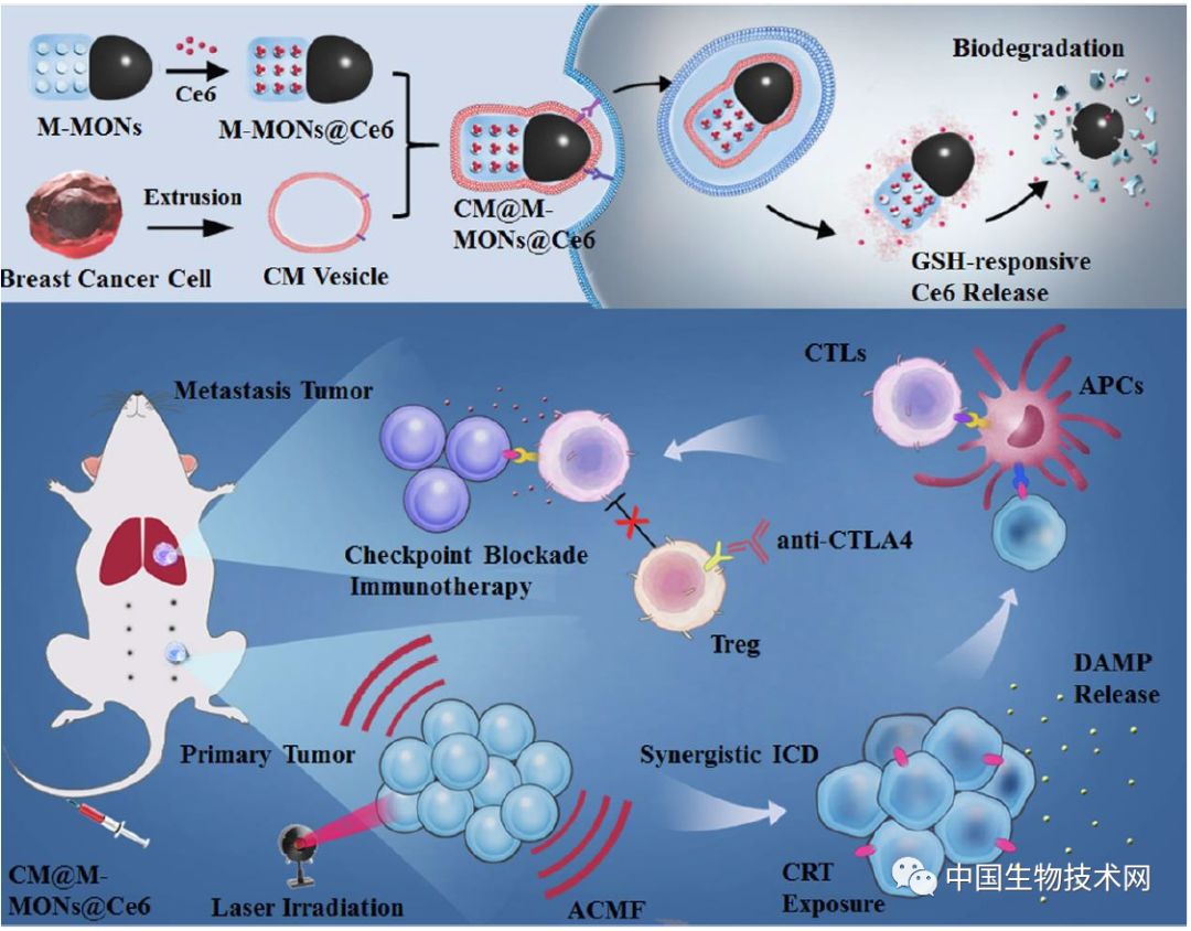肿瘤光动力治疗的优势,光动力癌细胞治疗