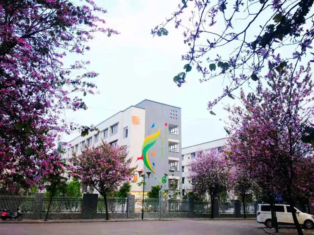 强势来袭！柳州这些风景如画的校园，你最爱哪一款？