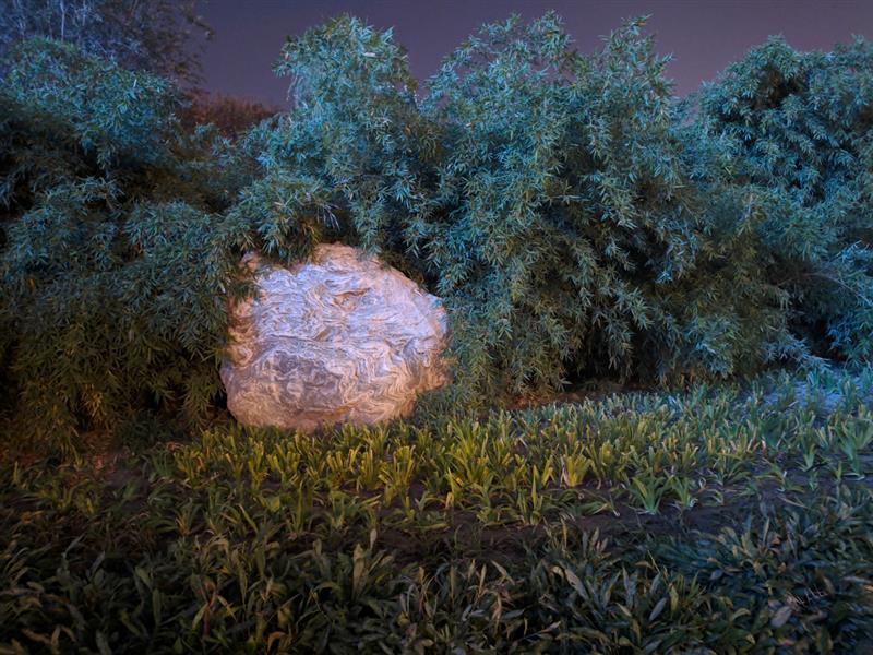 离开锤子老罗去哪里了,坚果pro3是罗永浩设计的吗