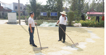 高校扶贫记夏桂林,高校师生扶贫纪录片