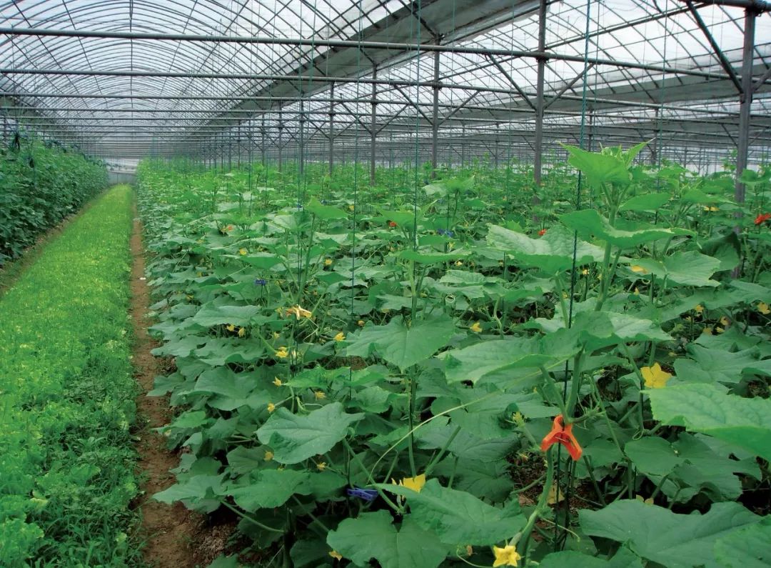 隐藏在CHI（赤）FENG（峰）里的秘密，你发现了吗？