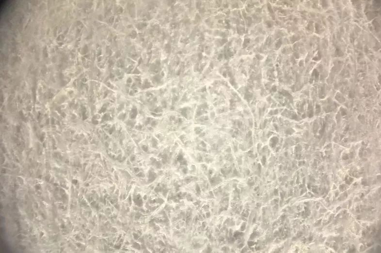 双11到底有什么优惠,双11到底哪些优惠