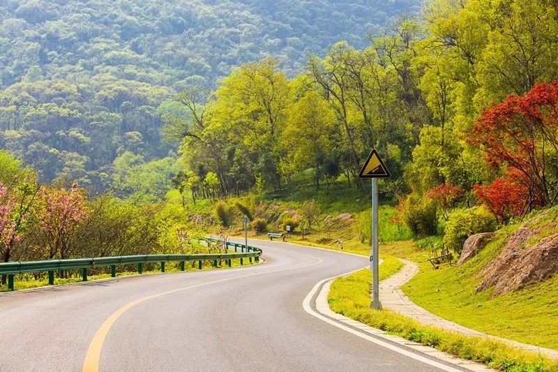 天呐！被南京这些路圈粉！