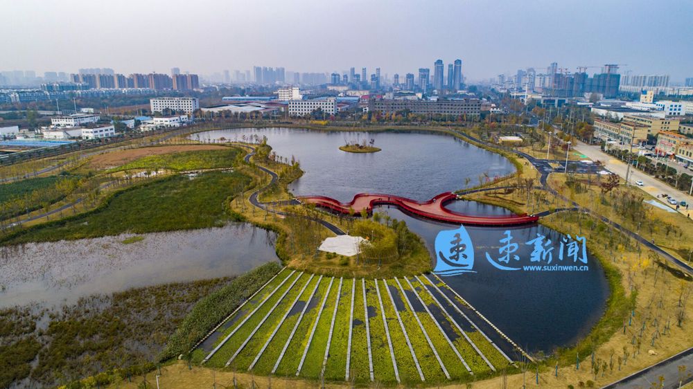 青浦水生植物养护措施,野塘净化水质水生植物