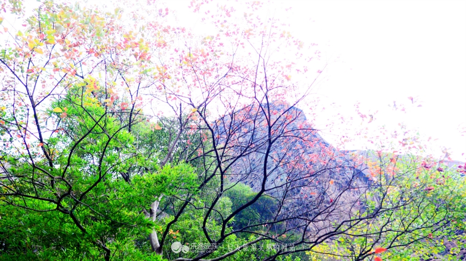 美秀娇甜，淳朴自然，可爱的中国，弋阳一日见闻