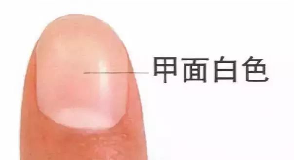 科普指甲怎么来的,关于指甲的科普视频