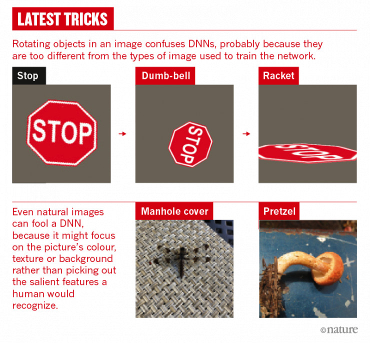 「熊猫」变「长臂猿」，「乌龟」变「来复枪」，深度学习模型被攻击，破解之道有哪些？