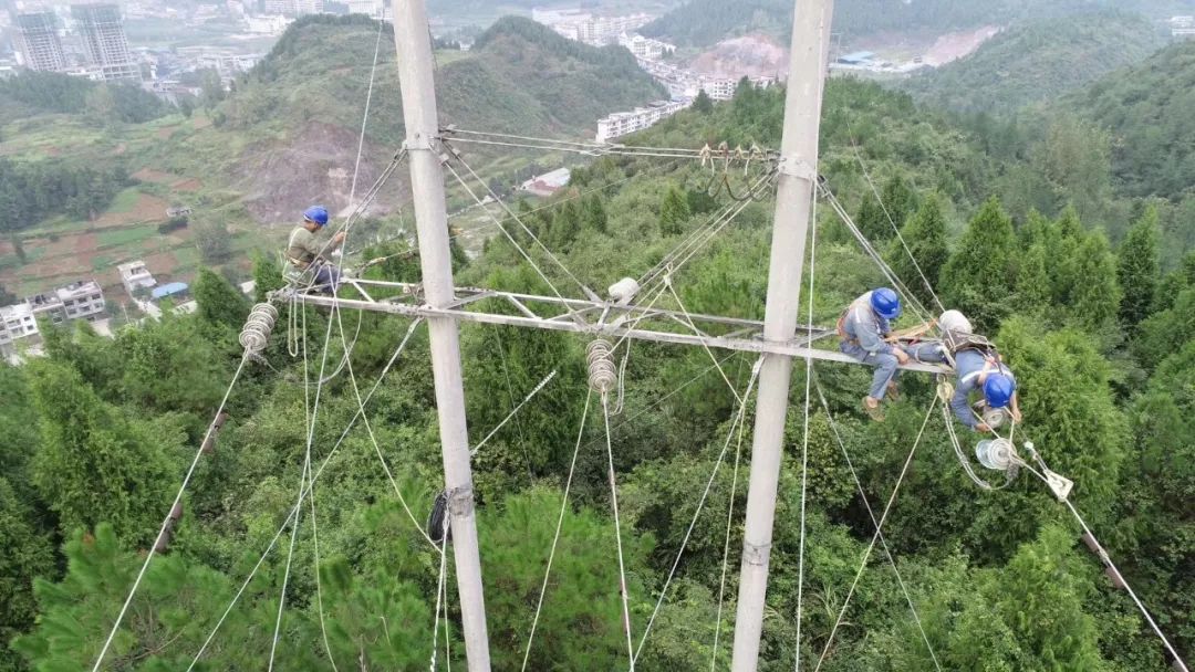 电网男女送礼都有啥？网友：送个锤子