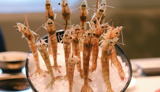 唉哟~~好凉快哟~~好大滴风哟~~~~呜呜喳喳的大风，吹的你们东倒西歪赶紧来点火锅续命