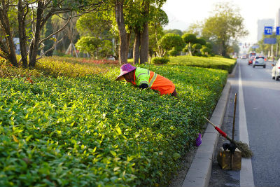 福州开展夏季百日行动,福州百日行动做什么