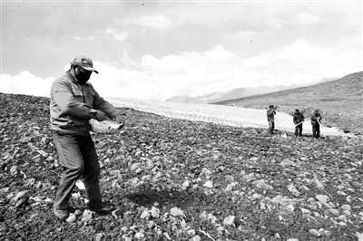 木里矿区综合整治,义海能源青海木里煤矿事件