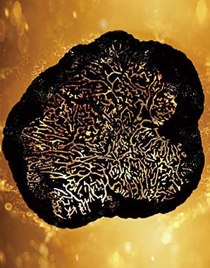 真正让你变美的护肤品高口碑,堪比大牌的护肤品