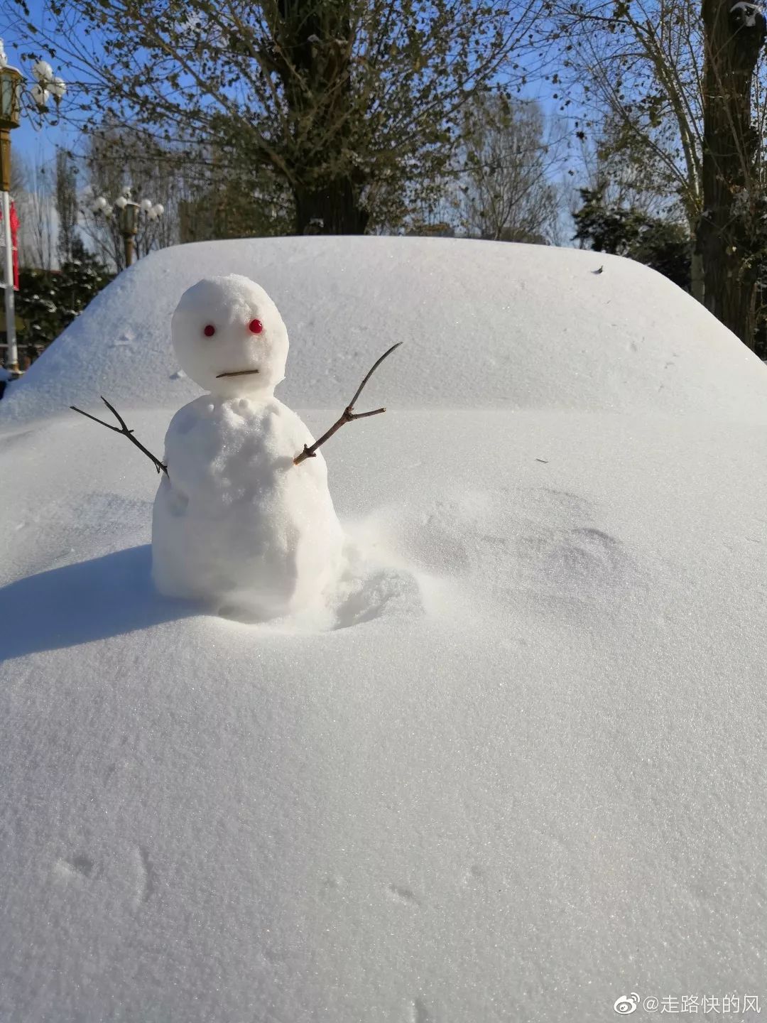 中国哪里开始下雪了,什么地方开始下雪了