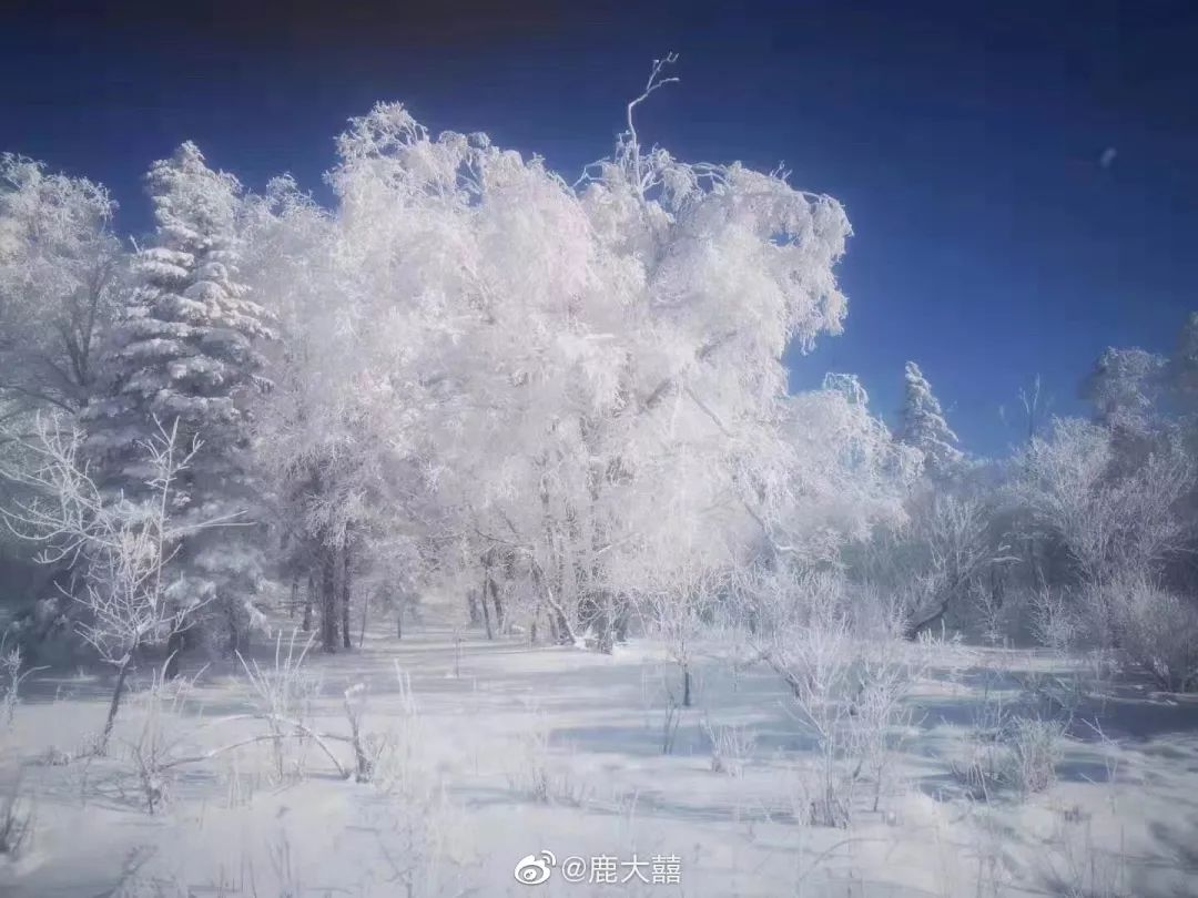 中国哪里开始下雪了,什么地方开始下雪了