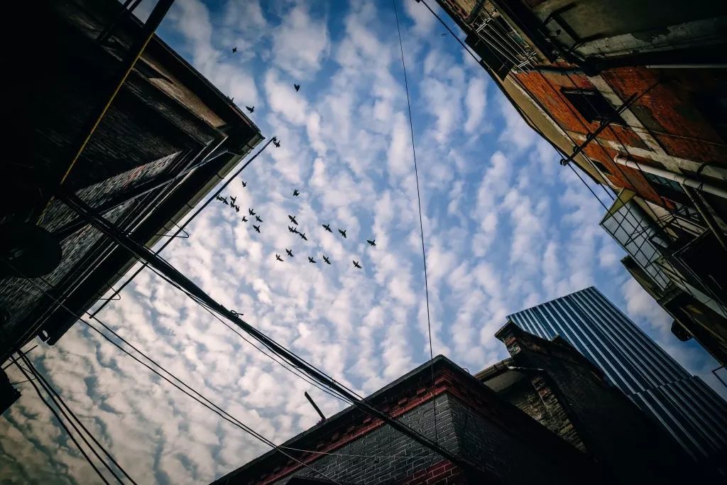 上海梦特娇旗舰店,上海梦梦直播间