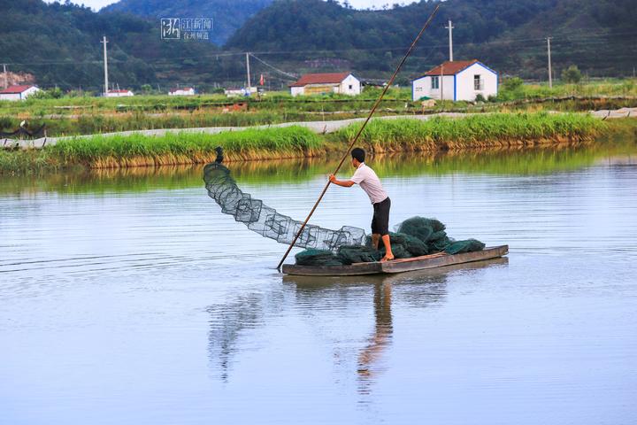 幸福四重奏视频,台州连续几年被评为最幸福城市