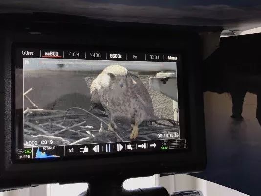 这也许是最好买的一场劲草嘉年华……