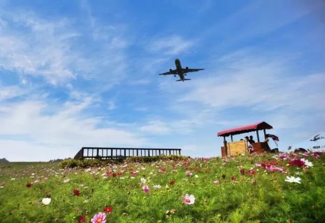 omg爆火,最近超火的omg视频