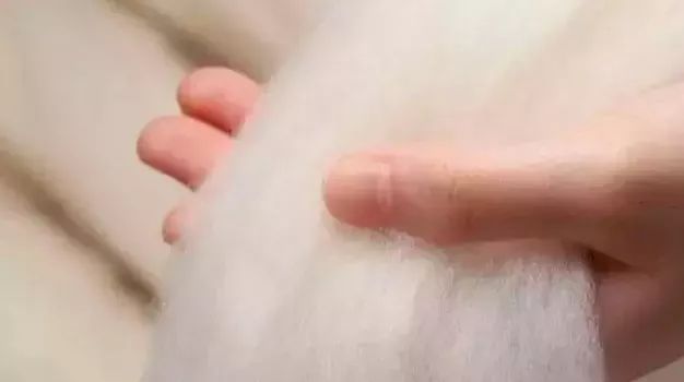 提升穿搭氛围感的秋冬围巾推荐,围巾选款看这里