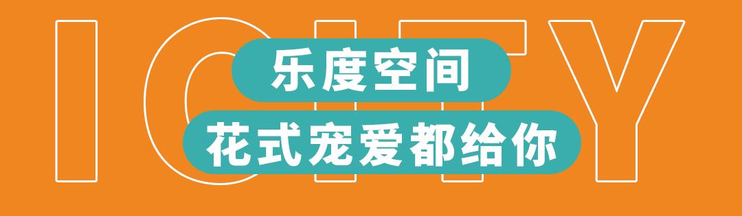 五折低价秒杀,团购秒杀最后一天