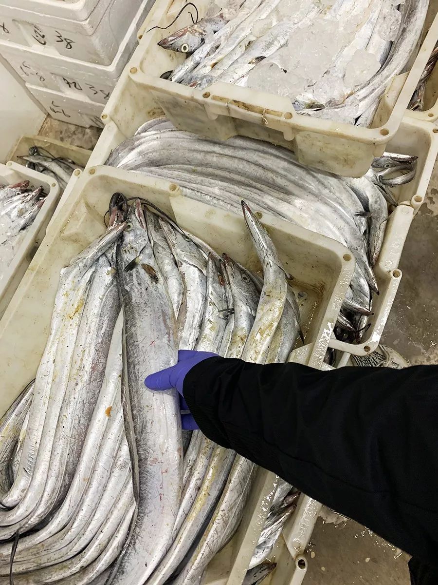 吕四海鲜原产地,吕四吃海鲜推荐