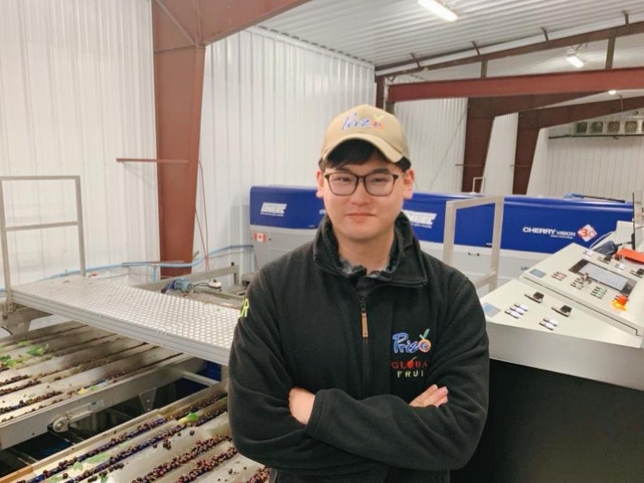 天猫双11催生的5个新职业,天猫双11招聘季节