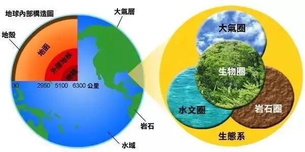 初中生物知识点总结及实验图,初中生物知识点总结鲁教版