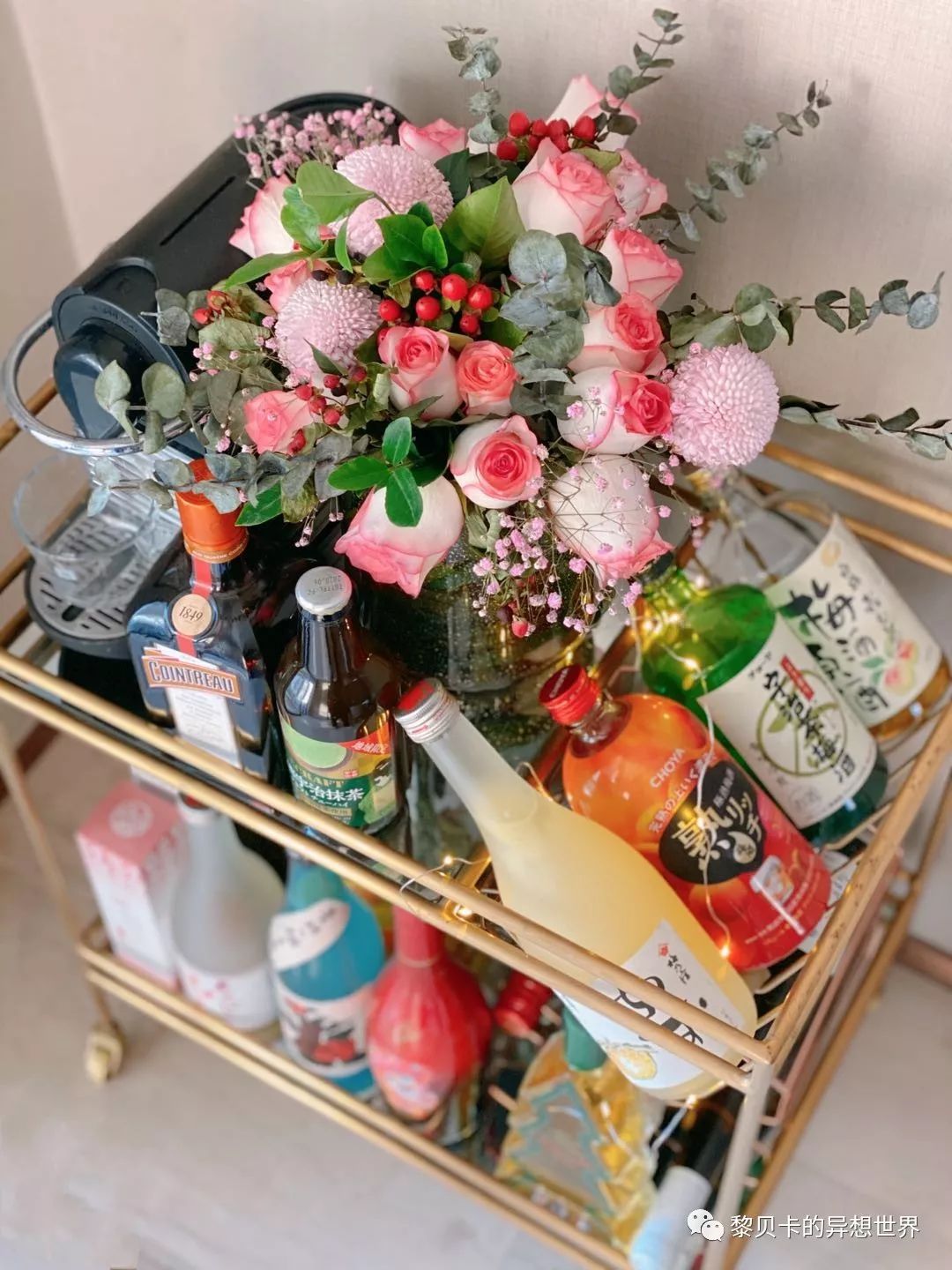 贝壳高颜值包包,贝壳包包推荐小众高级感