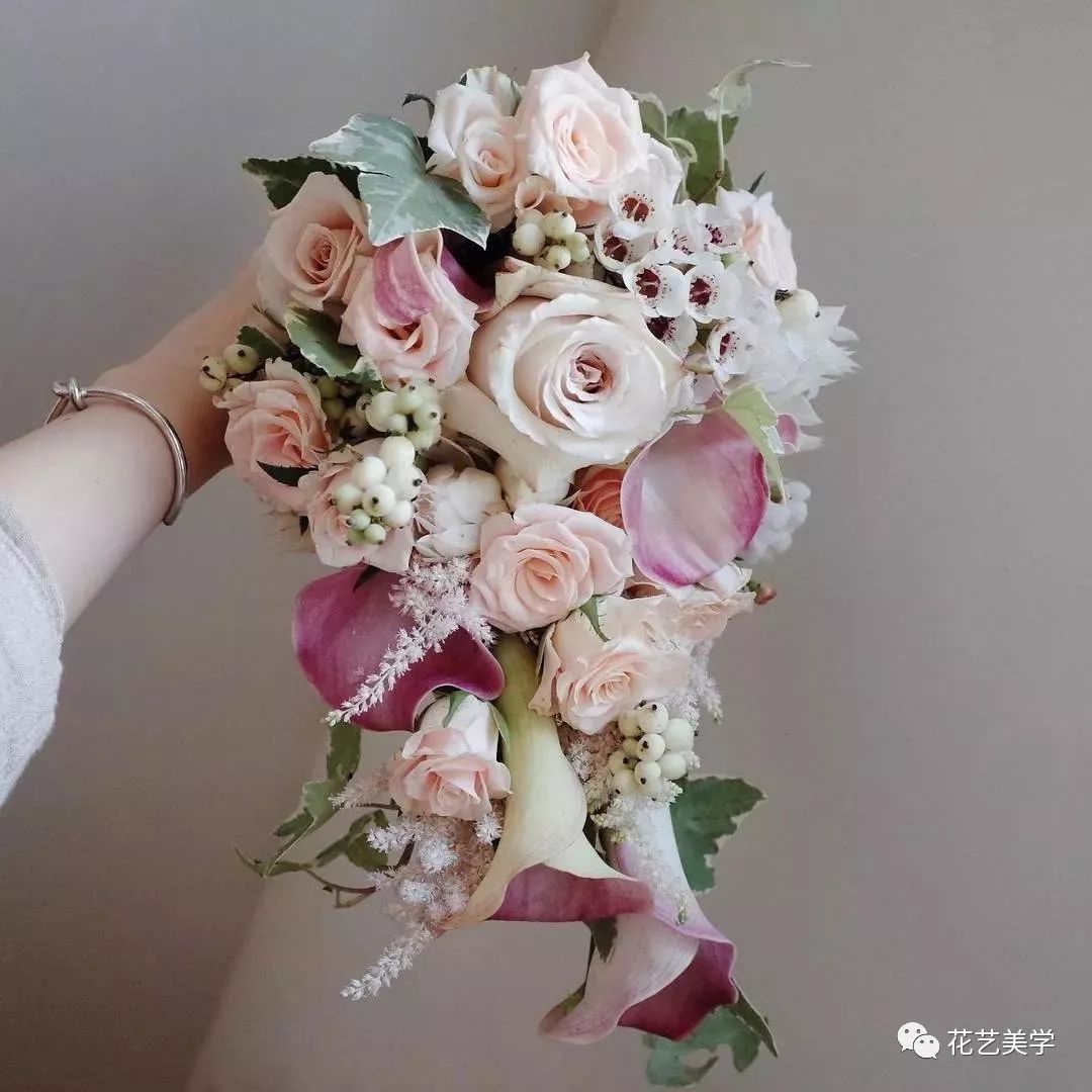 马蹄莲最普通品种开什么颜色花,花卉马蹄莲是什么样的