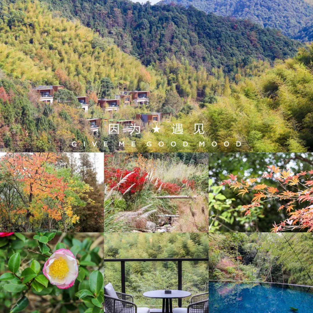 新昌安岚山居酒店,温泉入户竹林山居