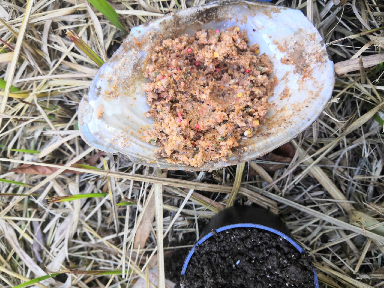 野钓桥边钓点,野钓探寻钓位