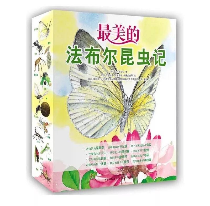 成长必读法布尔昆虫记,法布尔昆虫记书分享