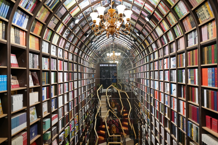 腾龙24mmf2.8定焦镜头视频测试,腾龙最新e卡口镜头