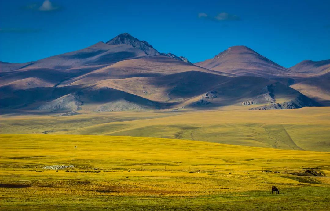 海上丝绸之路途经之地是什么市,2021上海丝绸之路