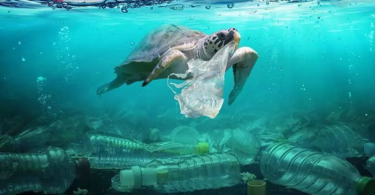 劲草嘉年华最新视频,2023年劲草嘉年华