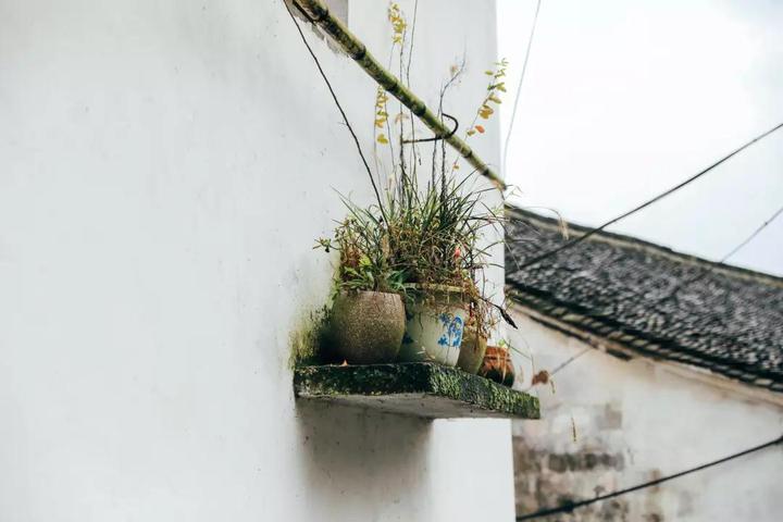 古村一日游泡温泉,古村泡温泉
